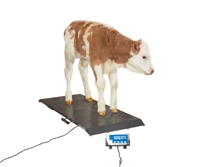 KERBL Tierwaage PS1000 bis 500kg